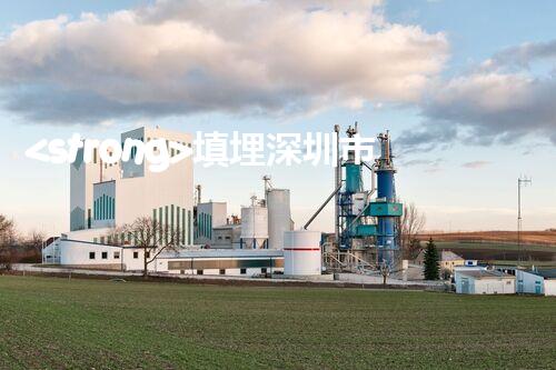 <strong>填埋深圳市危險廢物處理站有限公司化工設(shè)施安全解體：如何高效處理復雜工業(yè)遺留問題？</strong>